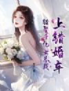 上错婚车,错娶千亿女总裁